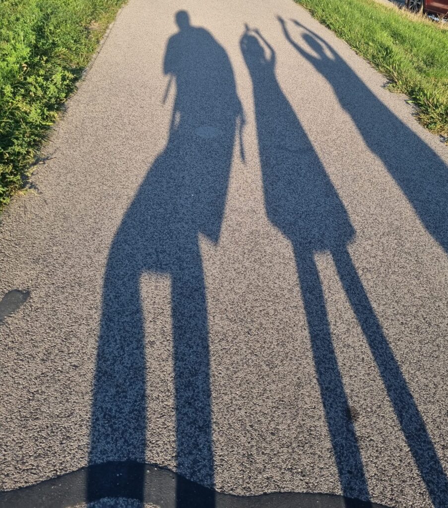 image of people making fun shapes in shadows using their bodies