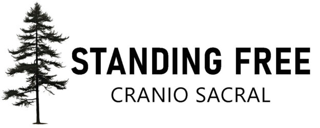 logo containing tall straight coniferous tree